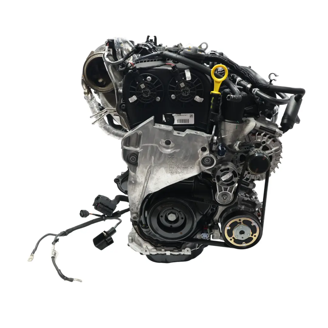 Volkswagen Polo Mk6 GTI Silnik Kompletny DNND 2.0 TFSI 207KM - SKU 06Q100031H-1 - Numer Części 06Q100031H