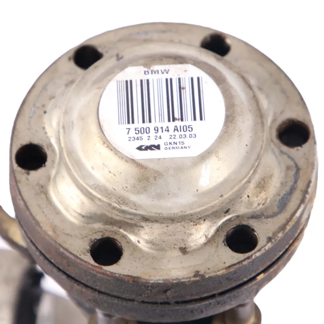 BMW X5 E53 3.0d M57 Suspensión Trasera Derecha Eje Portador Disco de Freno - SKU 1095239 - Número de pieza 1095239