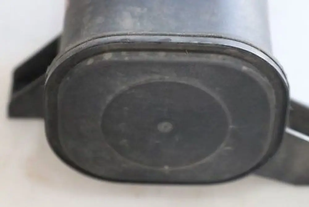 REIHE Aktivkohlefilter Benzin 1613 für BMW X5 E53 mit Teilenummer 1184558 BMW X5 E53 REIHE Aktivkohlefilter Benzin 1613 - SKU 1184558 - Teilenummer 1184558