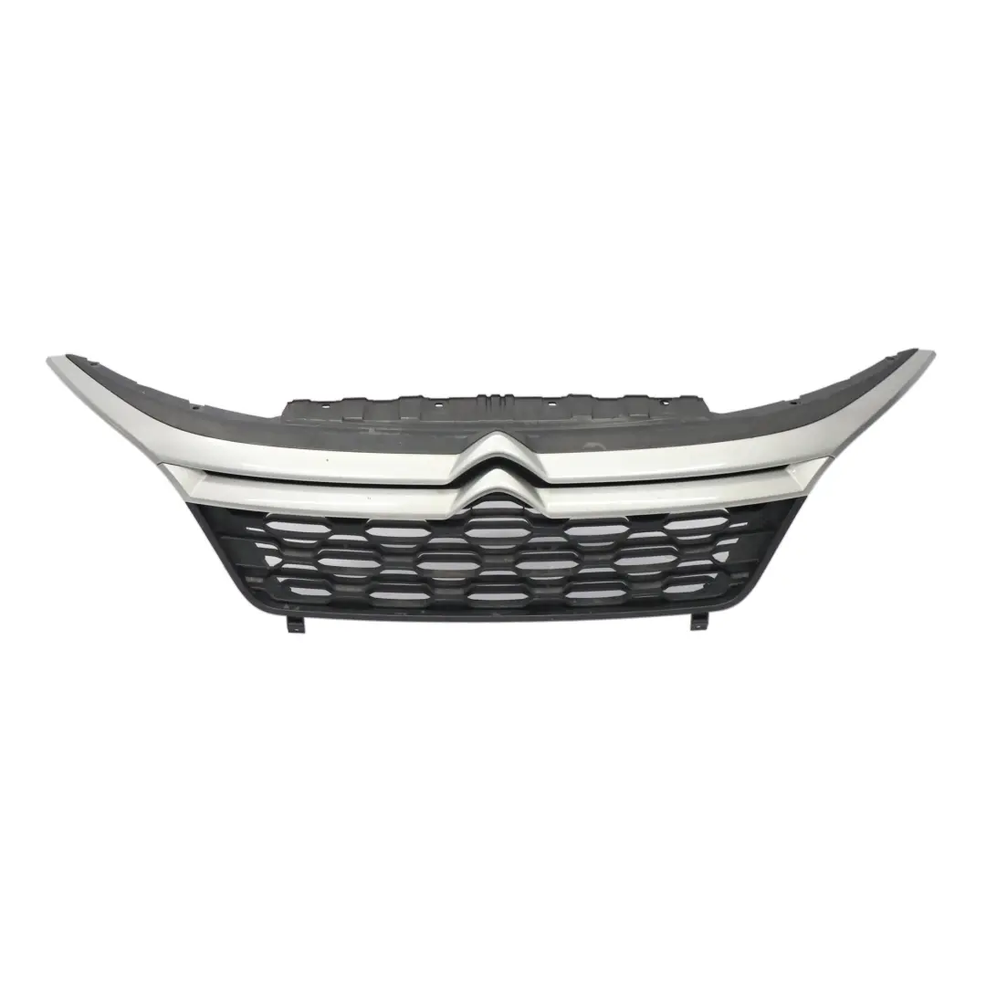  Rejilla Delantera Citroen Jumper Capó Cubre Radiador Plata - SKU 1315804070 - Número de pieza 1315804070