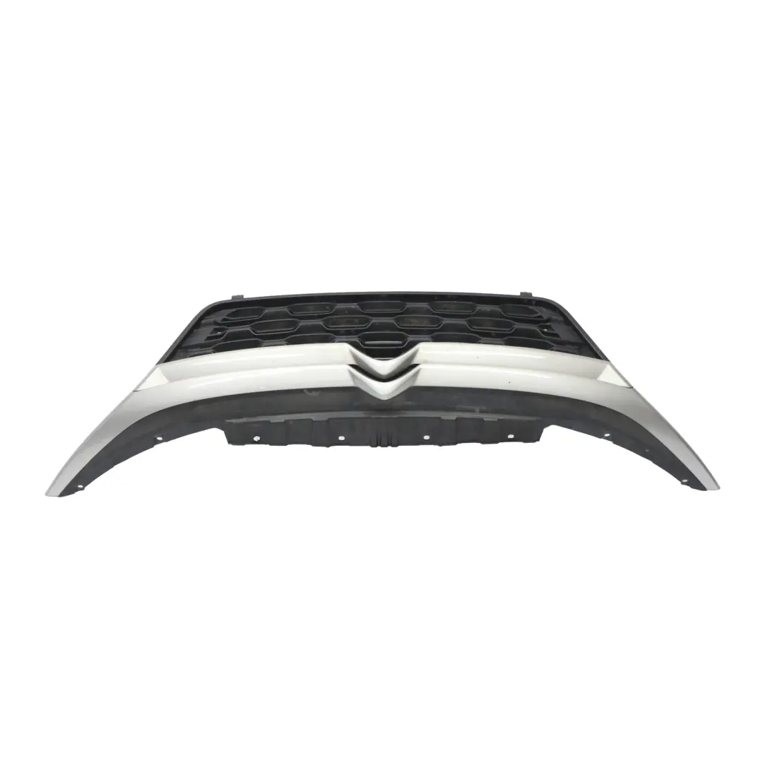  Front Grille Citroen Relay Hood Bonnet Radiator Covering Trim Silver - SKU 1315804070 - Part number 1315804070