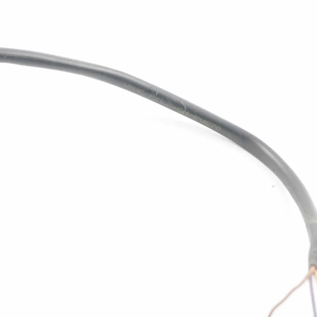 Türschalter Schiebetür Kontakt Platte für Fiat Ducato Peugeot Boxer mit Teilenummer 1340693080 Fiat Ducato Peugeot Boxer Türschalter Schiebetür Kontakt Platte - SKU 1340693080 - Teilenummer 1340693080