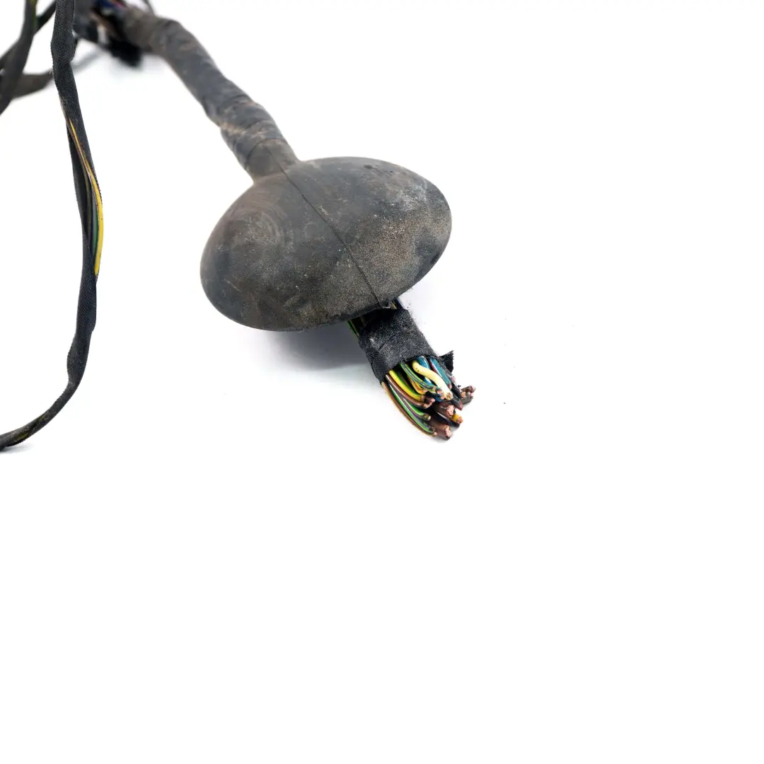 Przewód Wtyczka Haka Holowniczego do Mini R60 R61 o numerze 1378999 Mini R60 R61 Przewód Wtyczka Haka Holowniczego - SKU 1378999-1 - Numer Części 1378999