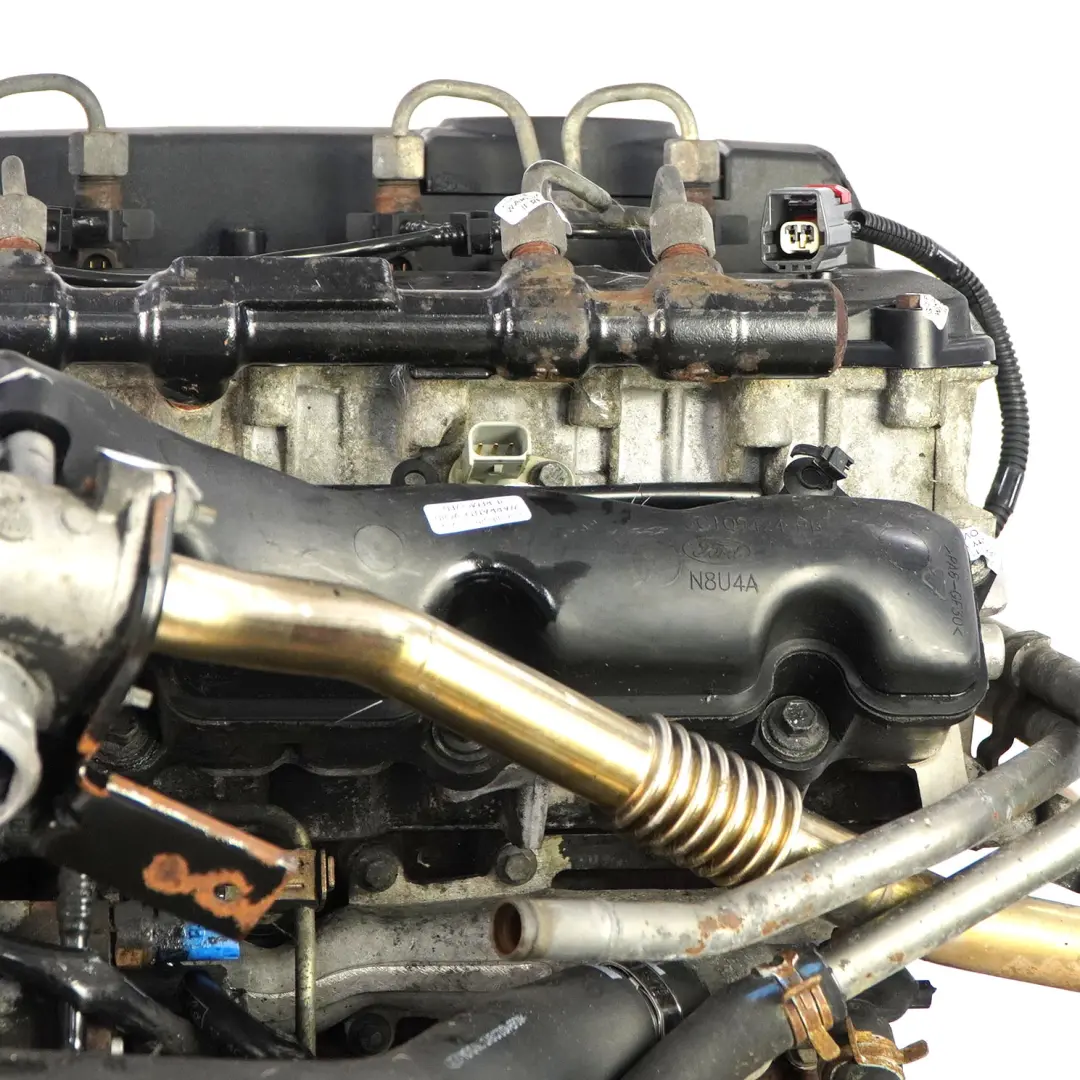 MK6 2.4 TDCi Diesel Moteur Complet H9FA 189 000 km, GARANTIE pour Ford Transit à propos du numéro de pièce 1432680 Ford Transit MK6 2.4 TDCi Diesel Moteur Complet H9FA 189 000 km, GARANTIE - SKU 1432680-1 - Numéro de pièce 1432680