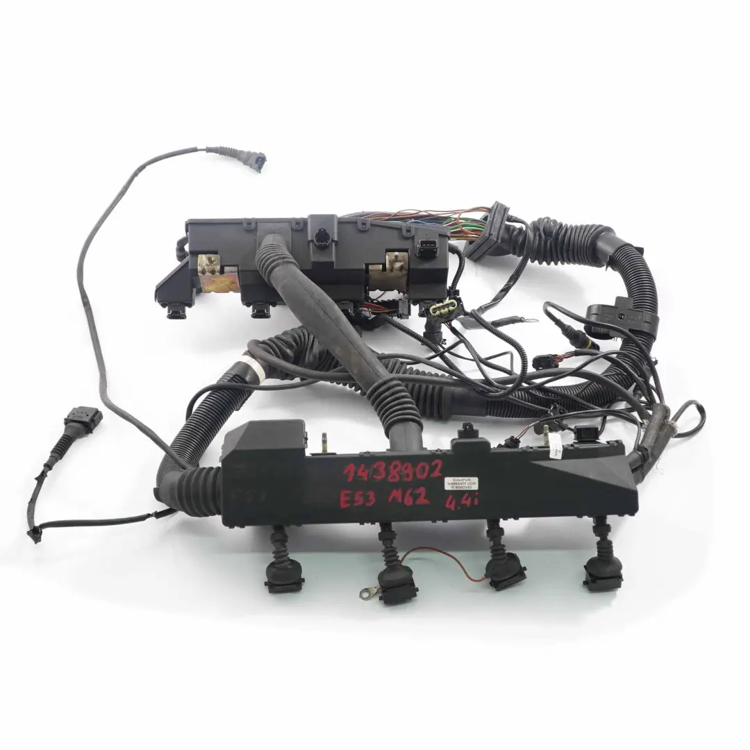 4.4i Benzin M62 B44 448S2 Motorkabelbaum Kabelbaum für BMW X5 Serie E53 mit Teilenummer 1438902 BMW X5 Serie E53 4.4i Benzin M62 B44 448S2 Motorkabelbaum Kabelbaum - SKU 1438902 - Teilenummer 1438902