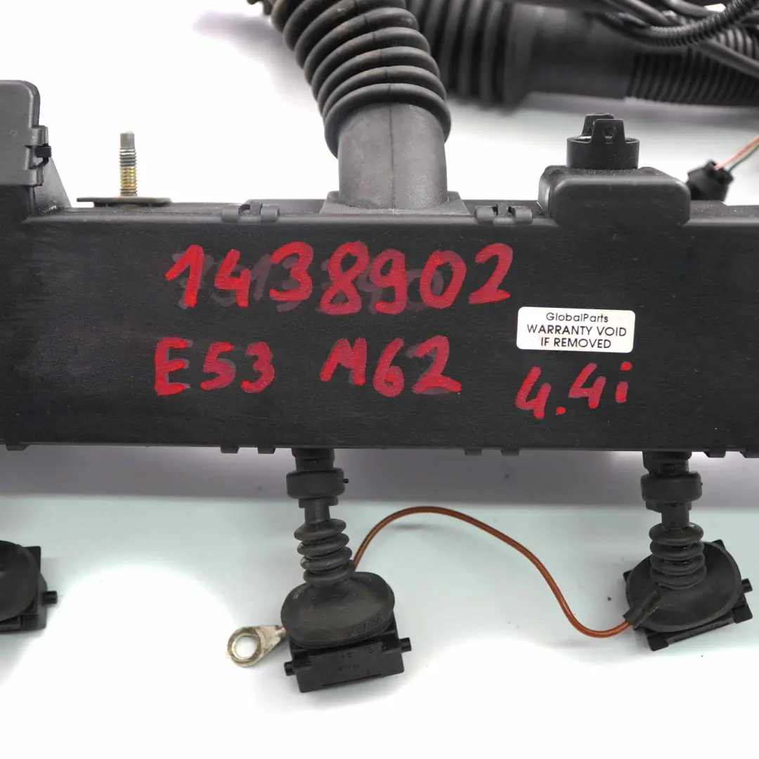 4.4i Petrol M62 B44 448S2 Moteur faisceau de câbles pour BMW X5 Series E53 à propos du numéro de pièce 1438902 BMW X5 Series E53 4.4i Petrol M62 B44 448S2 Moteur faisceau de câbles - SKU 1438902 - Numéro de pièce 1438902