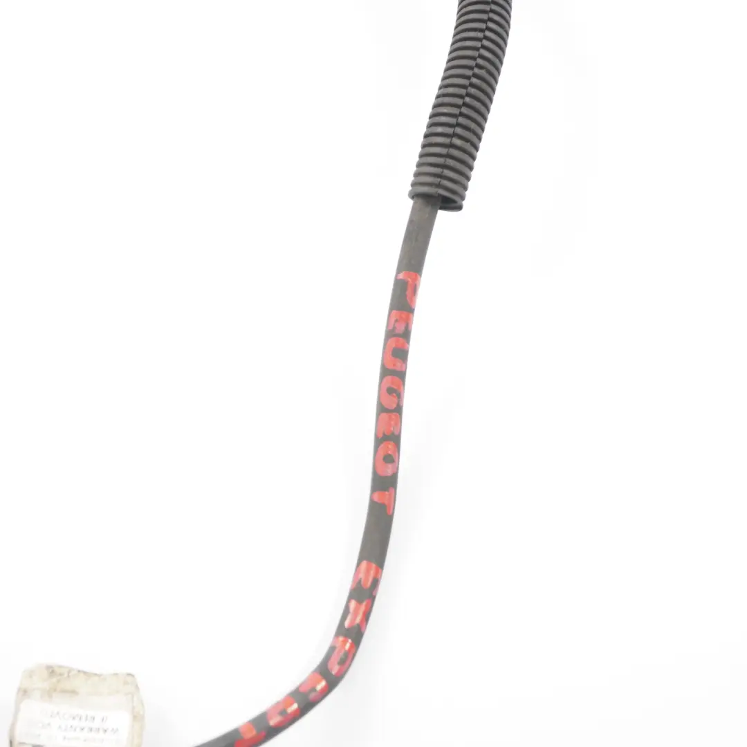 Peugeot Expert Citroen Jumpy Negative Battery Terminal Cable Wiring - SKU 1486455080 - Part number 1486455080