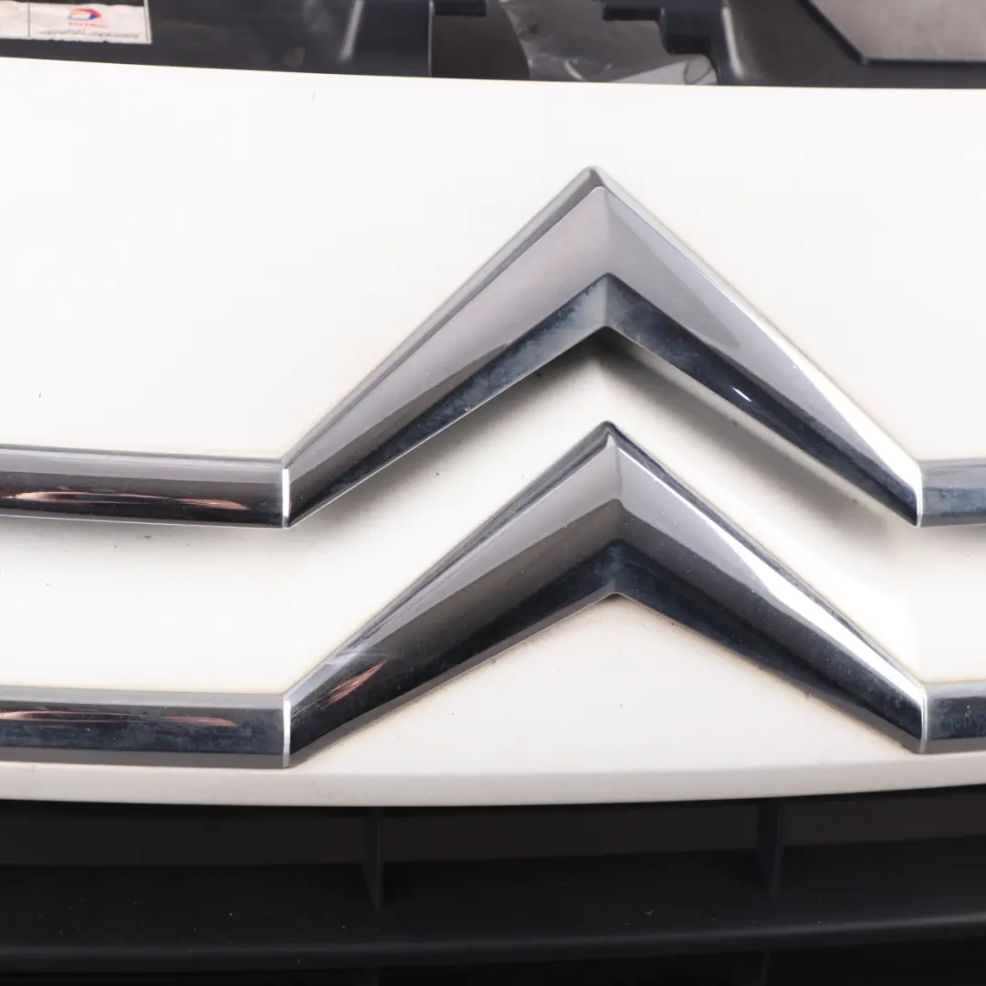  Front Grille Citroen Dispatch Hood Bonnet Radiator Covering Trim Banquise White - SKU 1608225180-BW - Part number 1608225180