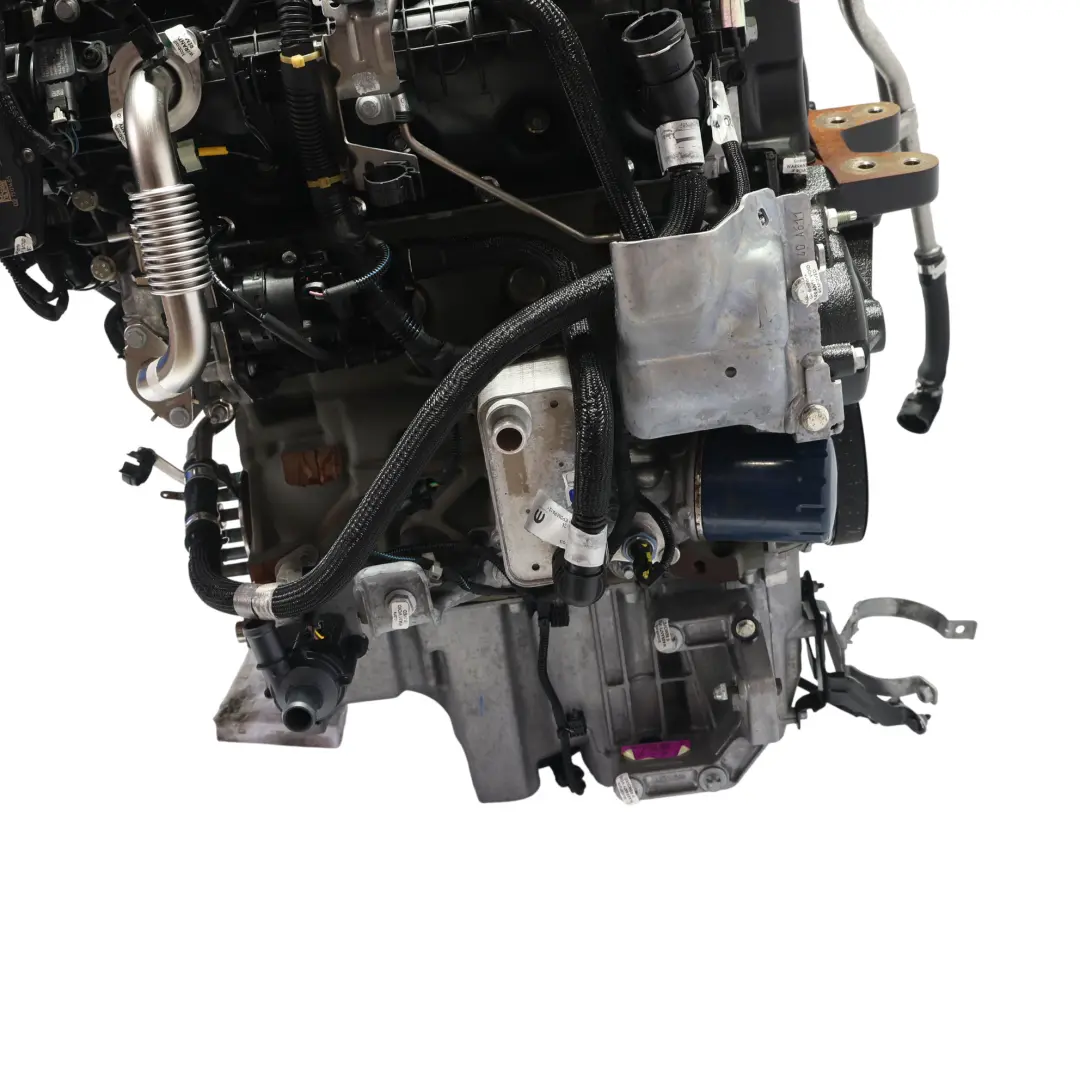 Jumper Unkomplett Motor 2.2 BlueHDI B22LUE 140PS 24Tkm, GARANTIE für Opel Movano mit Teilenummer 1686488180 Opel Movano Jumper Unkomplett Motor 2.2 BlueHDI B22LUE 140PS 24Tkm, GARANTIE - SKU 1686488180 - Teilenummer 1686488180