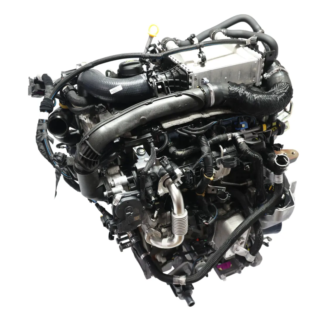Jumper Boxer Moteur Nu 2.2 BlueHDI B22LUE 140CV 24k Km, GARANTIE pour Opel Movano à propos du numéro de pièce 1686488180 Opel Movano Jumper Boxer Moteur Nu 2.2 BlueHDI B22LUE 140CV 24k Km, GARANTIE - SKU 1686488180 - Numéro de pièce 1686488180