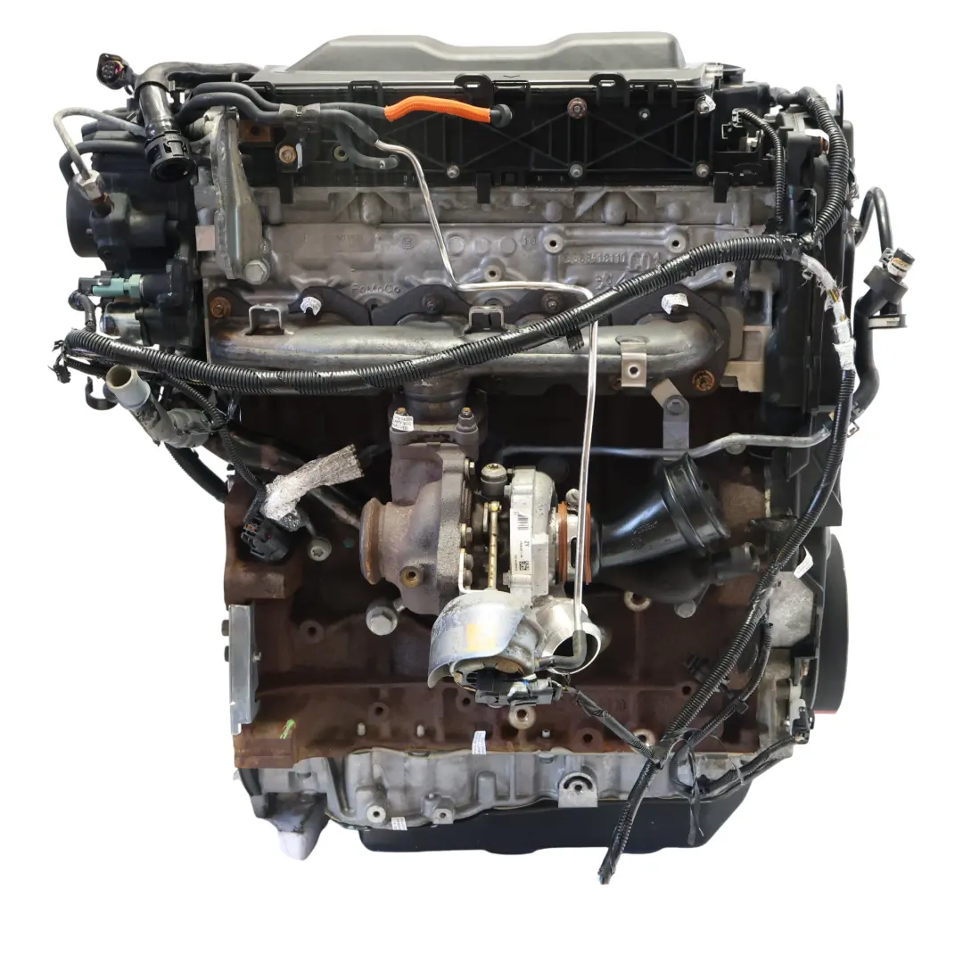 Mk1 C394 Moteur Nu UFDA 2.0 TDCI 140CV Avec 159 000km, GARANTIE pour Ford Kuga à propos du numéro de pièce 1700240 Ford Kuga Mk1 C394 Moteur Nu UFDA 2.0 TDCI 140CV Avec 159 000km, GARANTIE - SKU 1700240 - Numéro de pièce 1700240