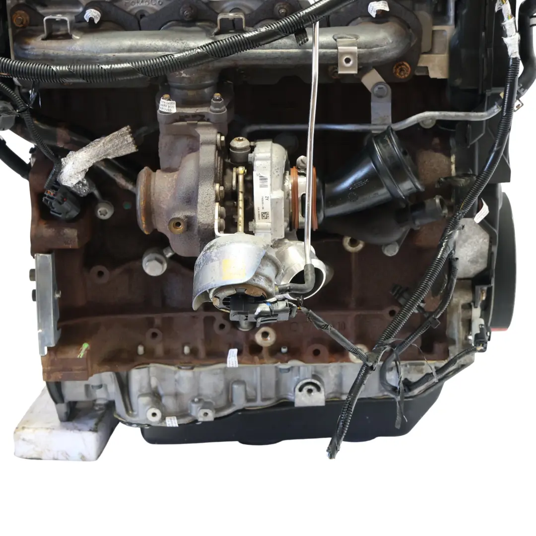 Mk1 C394 Kompletter Motor UFDA 2.0 TDCI 140PS Mit 159TKM, GARANTIE für Ford Kuga mit Teilenummer 1700240 Ford Kuga Mk1 C394 Kompletter Motor UFDA 2.0 TDCI 140PS Mit 159TKM, GARANTIE - SKU 1700240-1 - Teilenummer 1700240