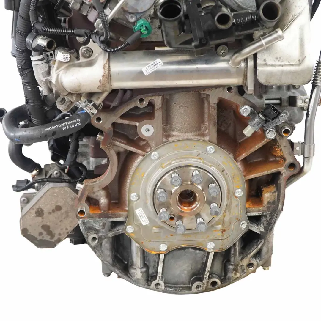 Ford Transit 2.2 TDCI Motore Nudo P8FA T22DD0P Puma 85HP 129 000 km, GARANZIA - SKU 1709003 - Numero di parte 1709003
