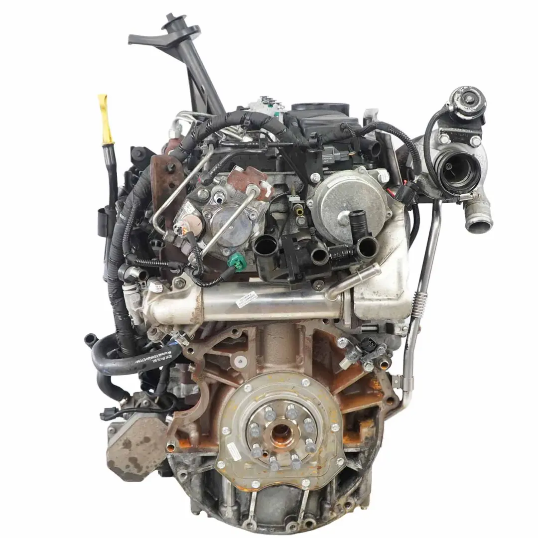 Bare Engine P8FA T22DD0P Puma 85HP 79k miles, WARRANTY to Ford Transit 2.2 TDCI with Part number 1709003 Ford Transit 2.2 TDCI Bare Engine P8FA T22DD0P Puma 85HP 79k miles, WARRANTY - SKU 1709003 - Part number 1709003