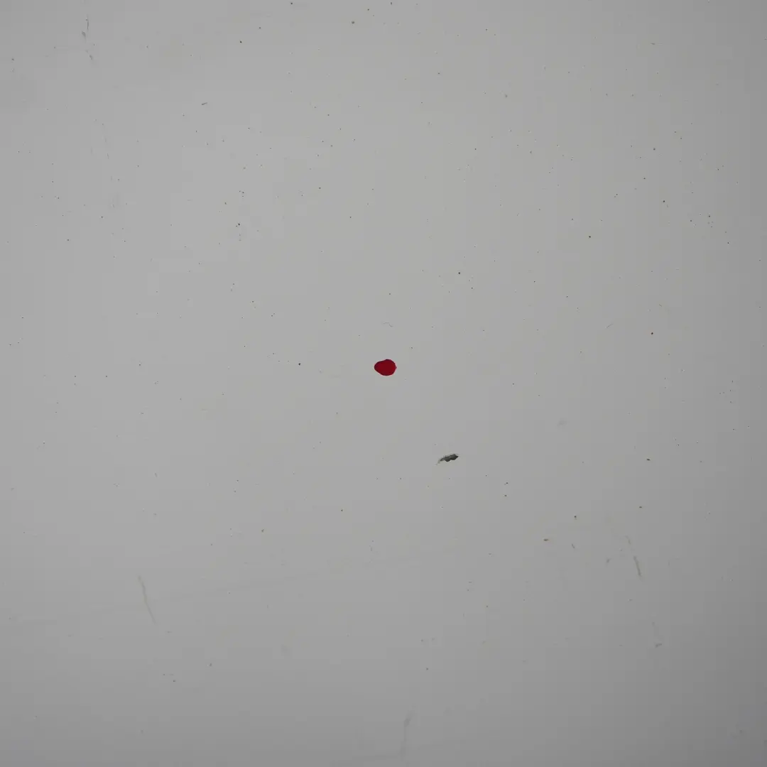 Drzwi Klapy Lewe Tylne Frozen White do Ford Transit o numerze 1741888 Ford Transit Drzwi Klapy Lewe Tylne Frozen White - SKU 1741888-FW - Numer Części 1741888