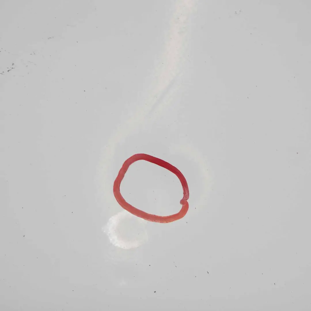 Drzwi Klapy Lewe Tylne Frozen White do Ford Transit o numerze 1741888 Ford Transit Drzwi Klapy Lewe Tylne Frozen White - SKU 1741888-FW - Numer Części 1741888