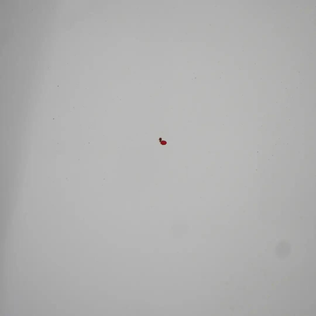 Maska Pokrywa Silnika Frozen White Biała - Z2 do Ford Fiesta Mk7 o numerze 1774791 Ford Fiesta Mk7 Maska Pokrywa Silnika Frozen White Biała - Z2 - SKU 1774791-FW - Numer Części 1774791