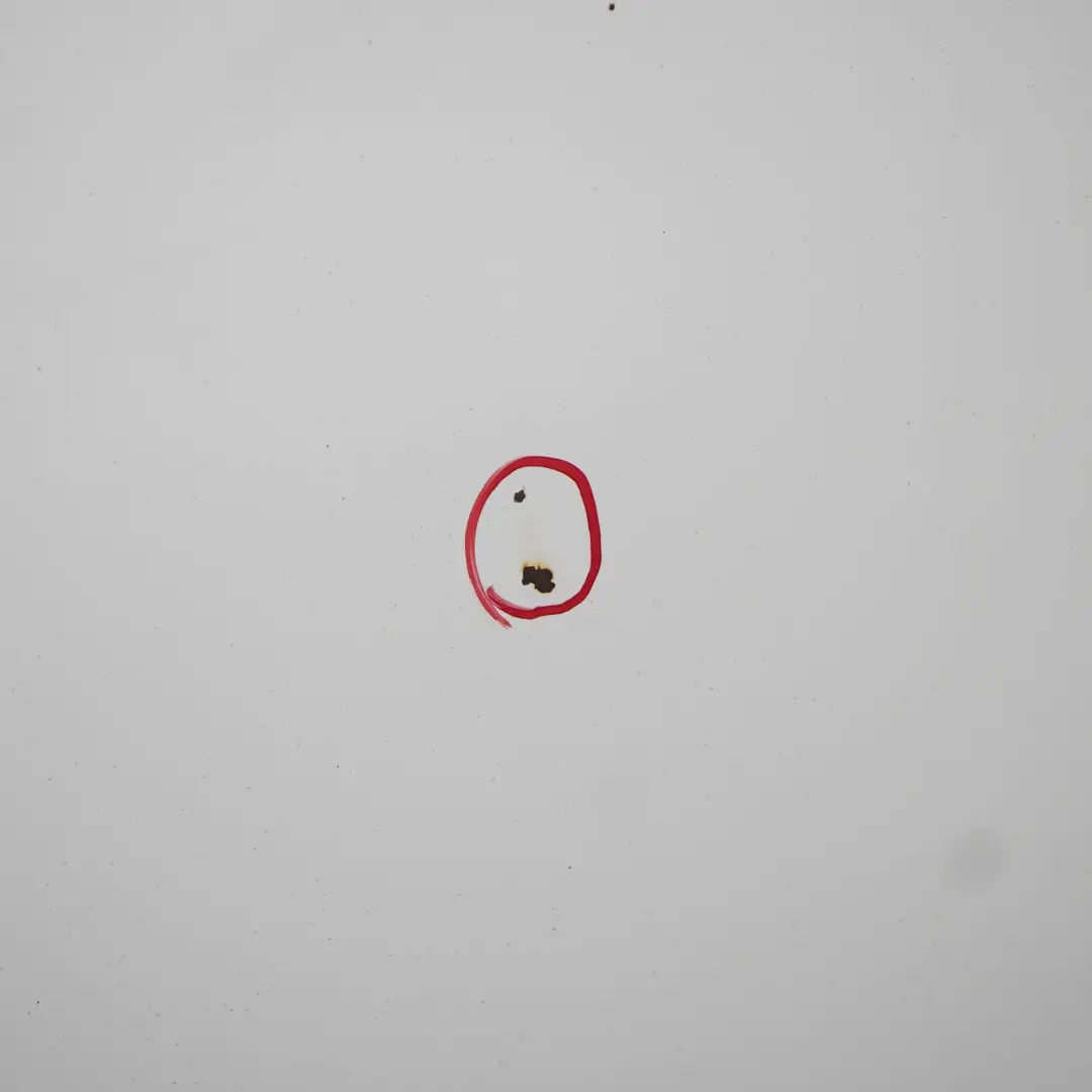 Maska Pokrywa Silnika Frozen White Biała - Z2 do Ford Fiesta Mk7 o numerze 1774791 Ford Fiesta Mk7 Maska Pokrywa Silnika Frozen White Biała - Z2 - SKU 1774791-FW - Numer Części 1774791