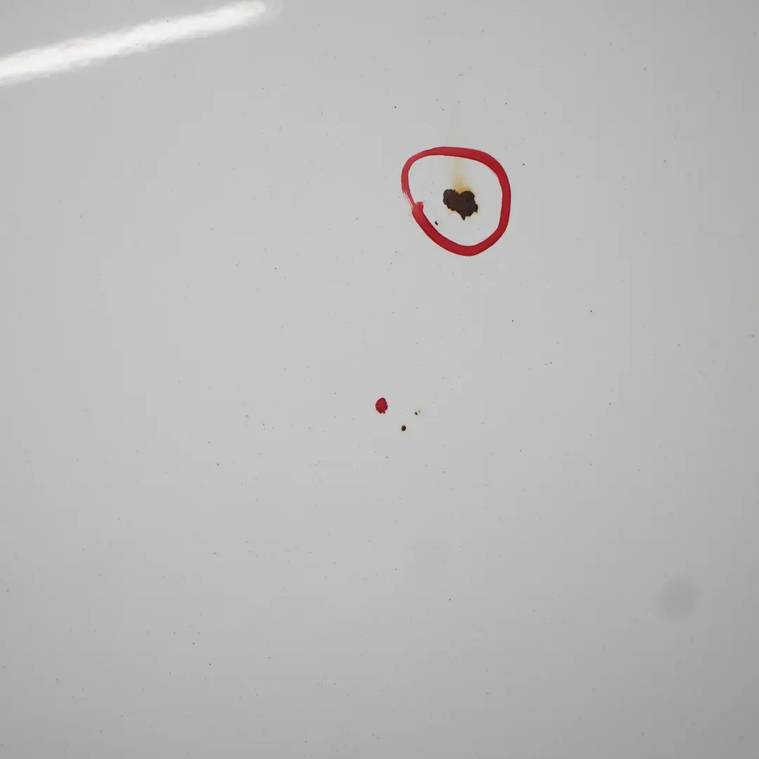 Maska Pokrywa Silnika Frozen White Biała - Z2 do Ford Fiesta Mk7 o numerze 1774791 Ford Fiesta Mk7 Maska Pokrywa Silnika Frozen White Biała - Z2 - SKU 1774791-FW - Numer Części 1774791