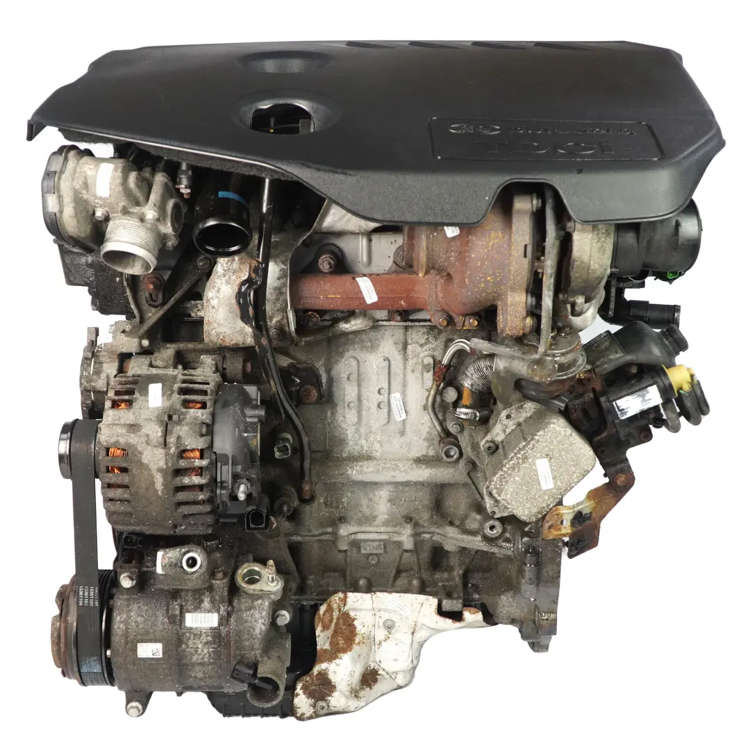 Ford Transit Connect 1.6 TDCi 115HP Motore Nudo T1GA 159 000 km, GARANZIA - SKU 1807612 - Numero di parte 1807612