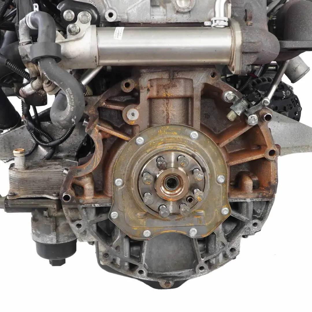 Ford Transit 2.4 TDCI RWD Motor Completo T24DD0P 85kW 115HP 159 000 km, GARANTÍA - SKU 1848692-1 - Número de pieza 2096240