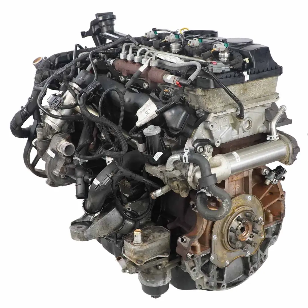 Ford Transit 2.4 TDCI RWD Motor Completo T24DD0P 85kW 115HP 159 000 km, GARANTÍA - SKU 1848692-1 - Número de pieza 2096240