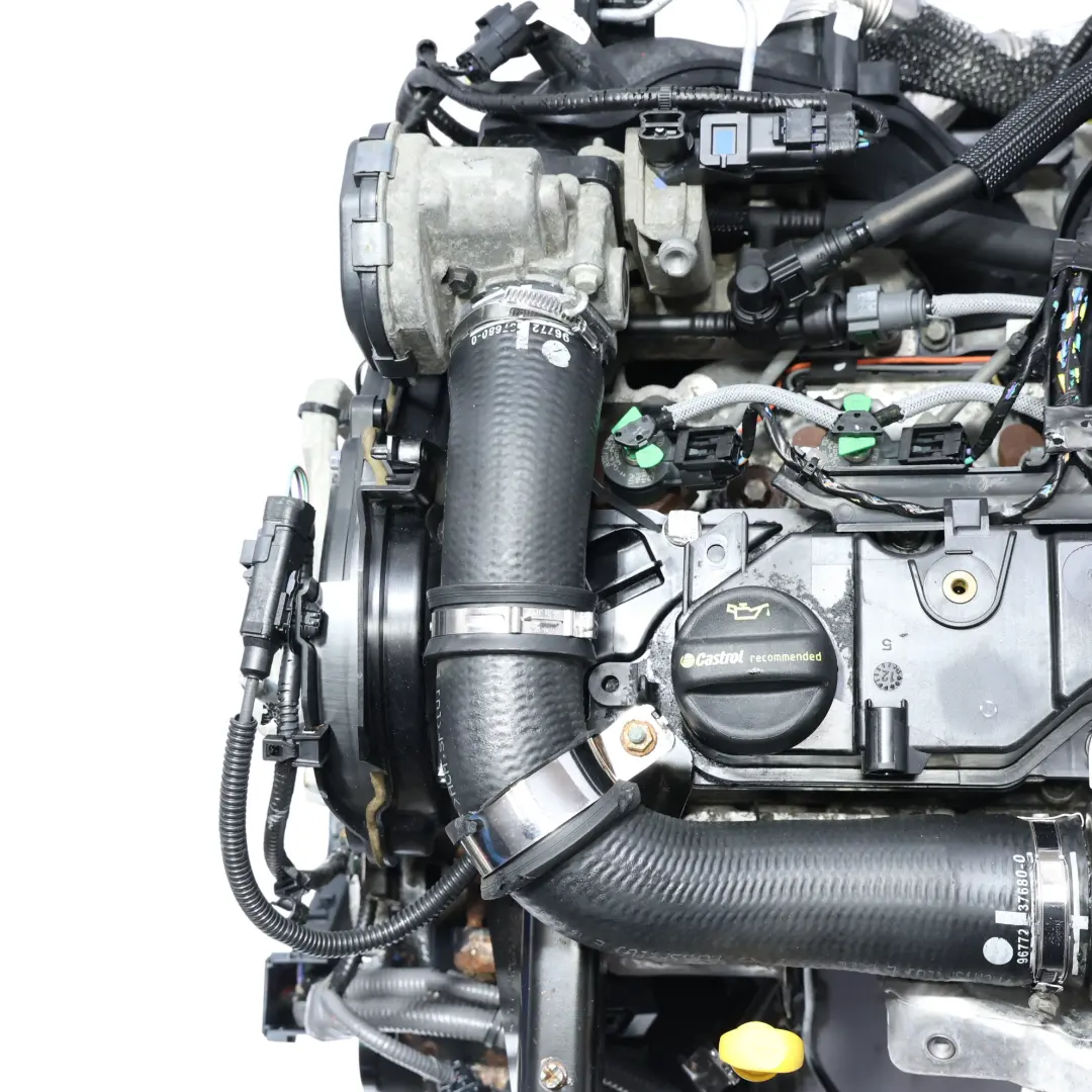 Complete Engine UGJC 1.5 TDCI 75HP 99k miles, WARRANTY to Ford Fiesta MK7 B-Max with Part number 1866263 Ford Fiesta MK7 B-Max Complete Engine UGJC 1.5 TDCI 75HP 99k miles, WARRANTY - SKU 1866263-1 - Part number 1866263