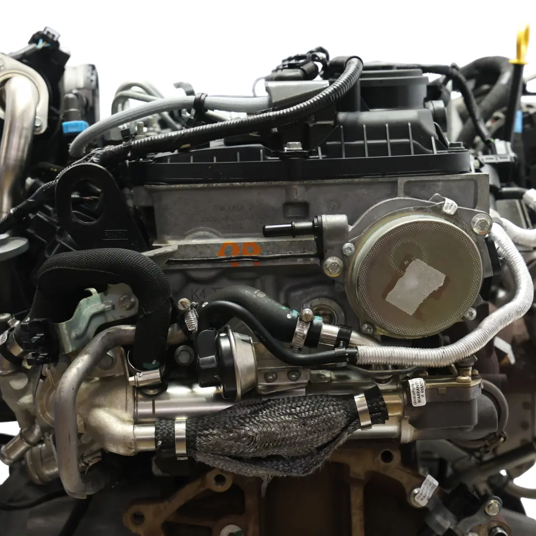 Motore Completo GBVAJQJ 2.2 TDCI Diesel 109 000 km, GARANZIA per Ford Ranger TKE III con numero di parte 1882842 Ford Ranger TKE III Motore Completo GBVAJQJ 2.2 TDCI Diesel 109 000 km, GARANZIA - SKU 1882842-1 - Numero di parte 1882842