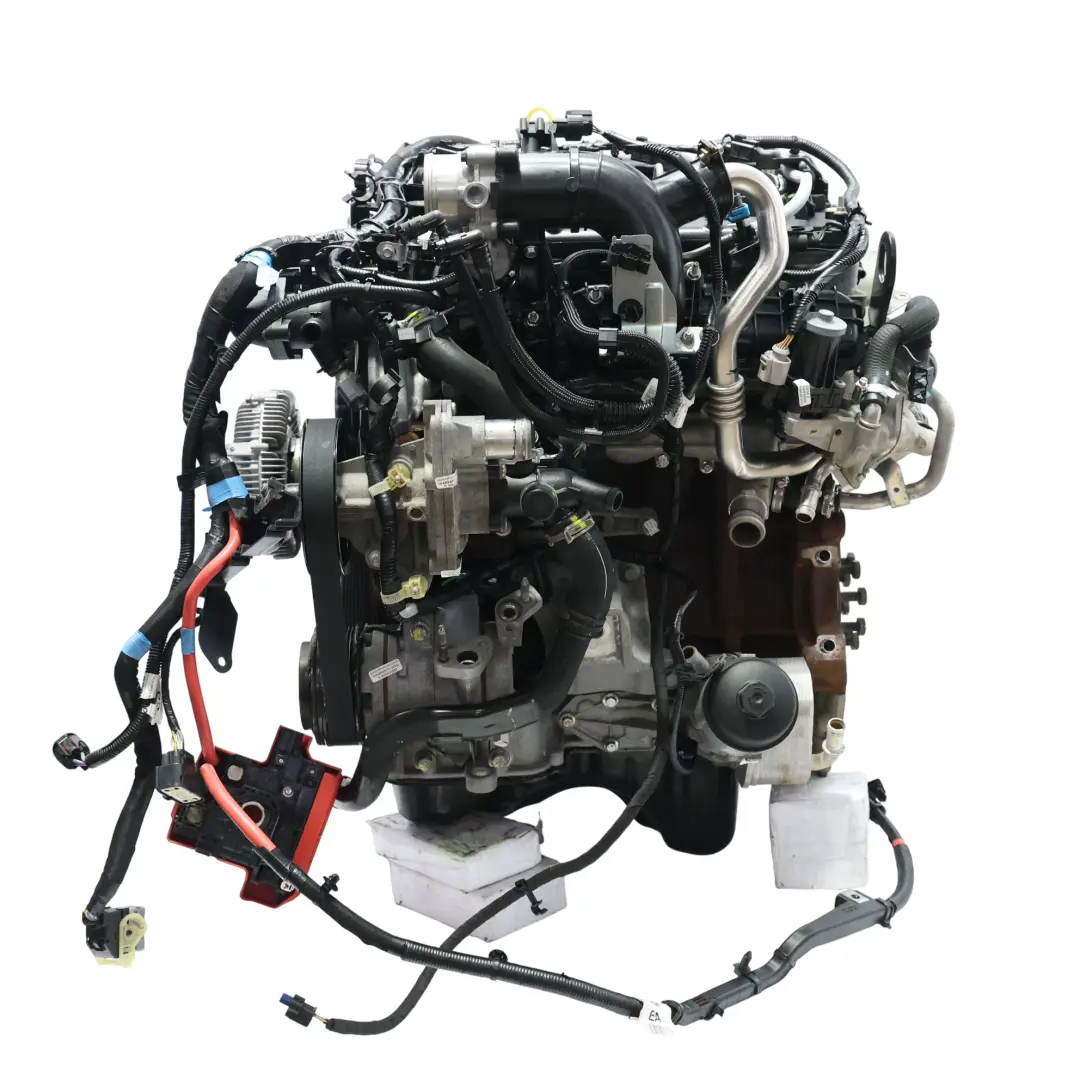 Motore Nudo GBVAJQJ 2.2 TDCI Diesel Con 109 000 km, GARANZIA per Ford Ranger TKE III con numero di parte 1882842 Ford Ranger TKE III Motore Nudo GBVAJQJ 2.2 TDCI Diesel Con 109 000 km, GARANZIA - SKU 1882842 - Numero di parte 1882842