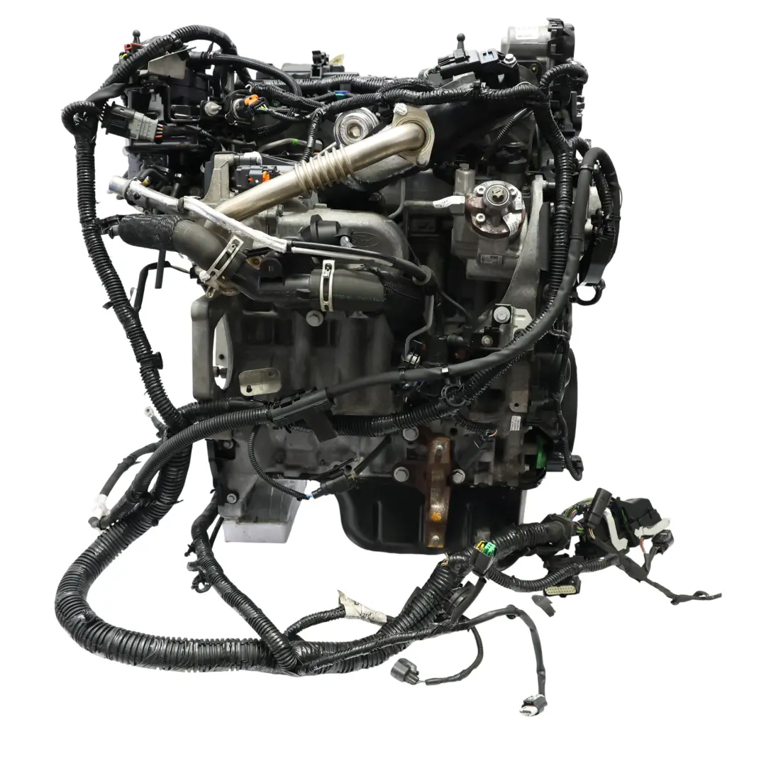 Ford Focus MK3 C-Max MK2 Bare Engine XWDA XWDB XWDC XWDD 1.5 TDCI 79k, WARRANTY - SKU 2016367 - Part number 2016367