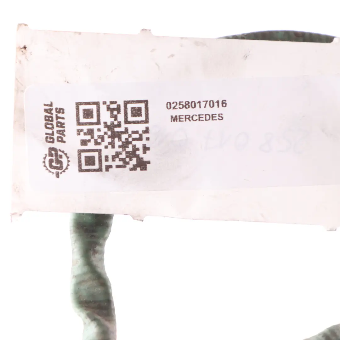 Sonda Lambda De Oxígeno Escape para Mercedes W169 W204 W211 W212 C219 con número de pieza 0258017016 Mercedes W169 W204 W211 W212 C219 Sonda Lambda De Oxígeno Escape - SKU 0258017016 - Número de pieza 0258017016