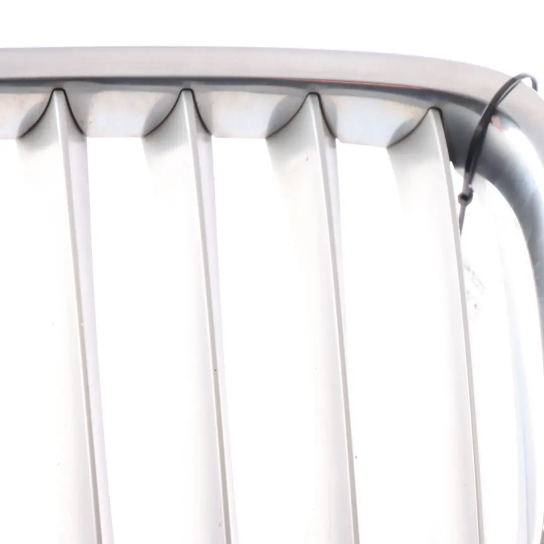 Front Grill Niere Kühler Lufteinlass Rechts Chrom für BMW X1 E84 mit Teilenummer 2993308 BMW X1 E84 Front Grill Niere Kühler Lufteinlass Rechts Chrom - SKU 2993308-1 - Teilenummer 2993308