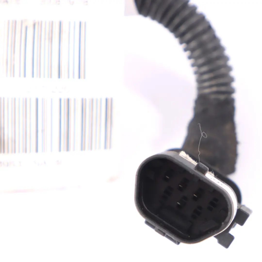 Ölstand Kurbelwellensensor Verkabelung für Opel Insignia A 2.0 Cdti mit Teilenummer 55568953 Opel Insignia A 2.0 Cdti Ölstand Kurbelwellensensor Verkabelung - SKU 55568953 - Teilenummer 55568953