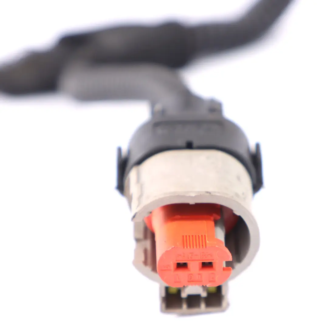 Nivel de aceite del cigüeñal Sensor Wiring para Opel Insignia A 2.0 Cdti con número de pieza 55568953 Opel Insignia A 2.0 Cdti Nivel de aceite del cigüeñal Sensor Wiring - SKU 55568953 - Número de pieza 55568953