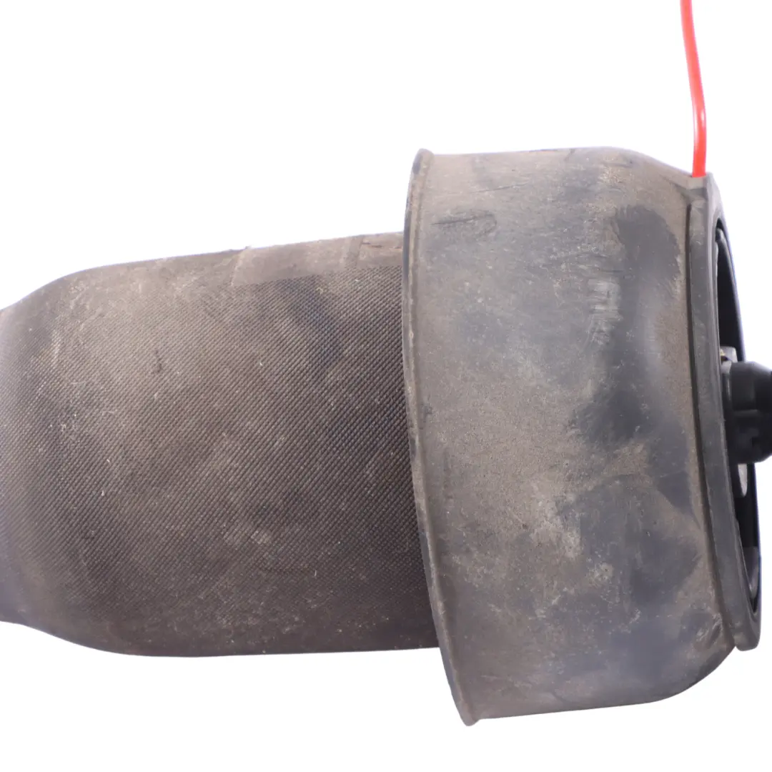Pneumatic Air Suspension Absorber Left Right N/O/S Set to BMW X5 F15 Rear with Part number 6795013 BMW X5 F15 Rear Pneumatic Air Suspension Absorber Left Right N/O/S Set - SKU 6795013-2 - Part number 6795013