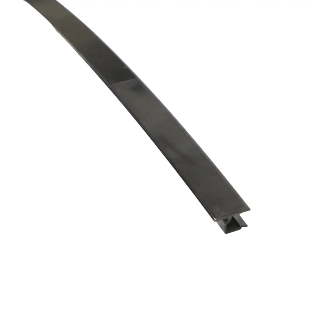 BMW X5 F15 Guide fenêtre arrière droite garniture couvercle brillant - SKU 7289658 - Numéro de pièce 7289658
