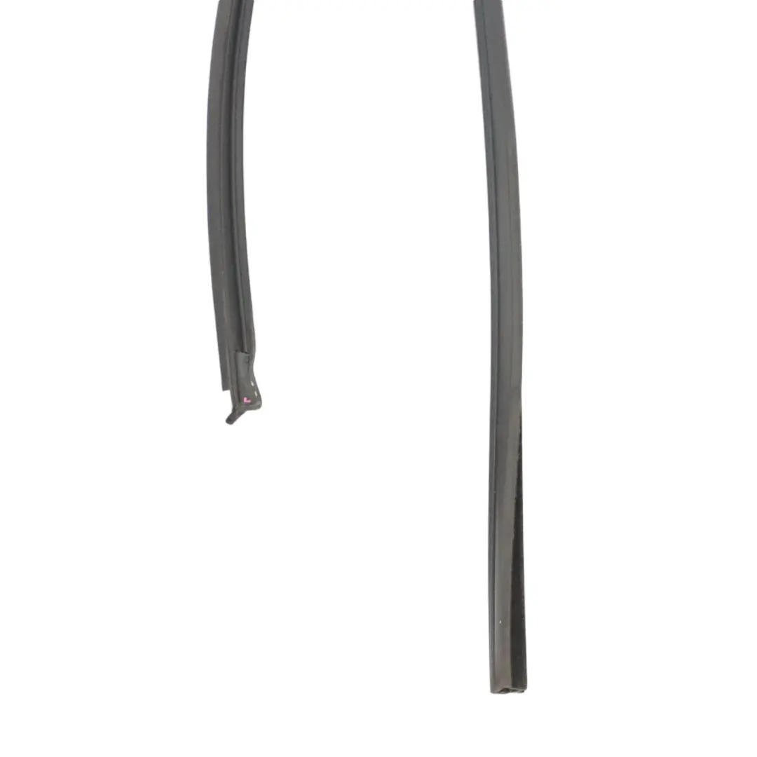 BMW X5 F15 Door Seal Window Guide Rear Left N/S Sealing Rubber Gasket - SKU 7289667 - Part number 7289667