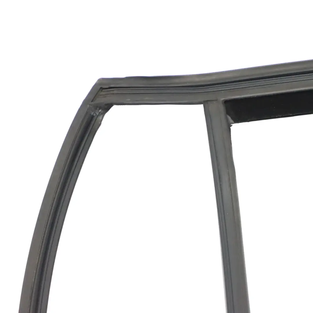 BMW X5 F15 Door Seal Window Guide Rear Left N/S Sealing Rubber Gasket - SKU 7289667 - Part number 7289667