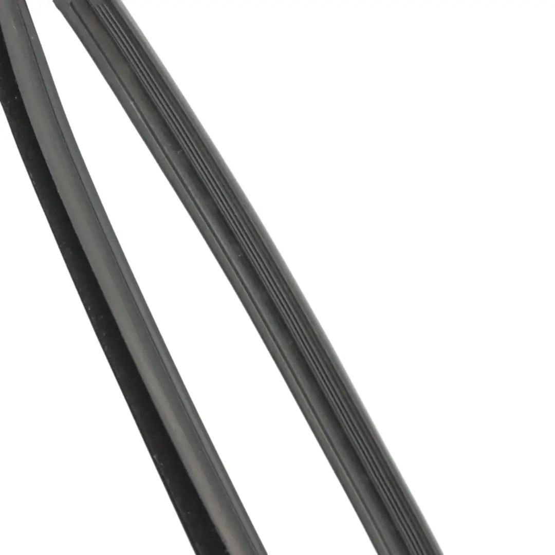 BMW X5 F15 Door Seal Window Guide Rear Left N/S Sealing Rubber Gasket - SKU 7289667 - Part number 7289667