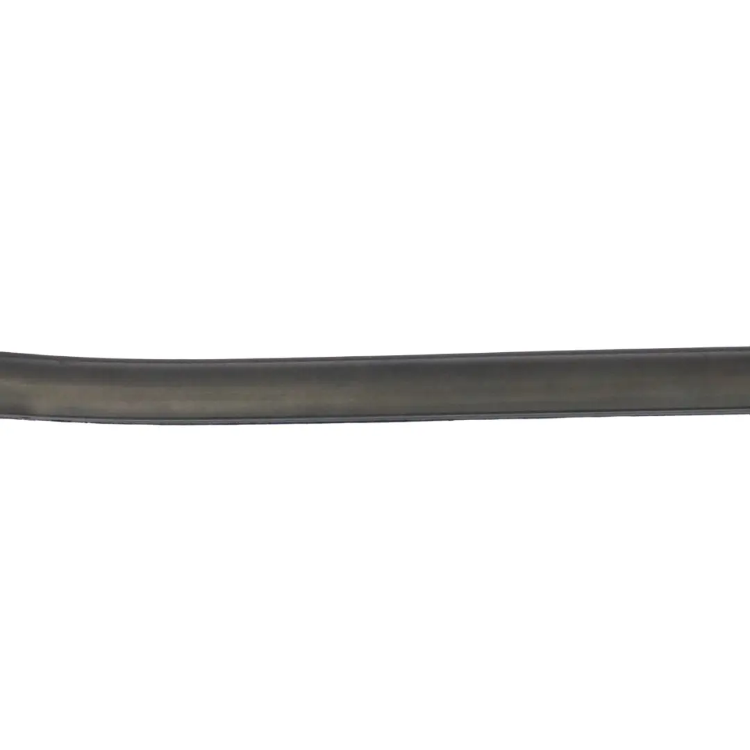  Fenster Dichtung BMW X3 F25 Äußere Kanalabdeckung Tür Vorne Links - SKU 7317905 - Teilenummer 7317905