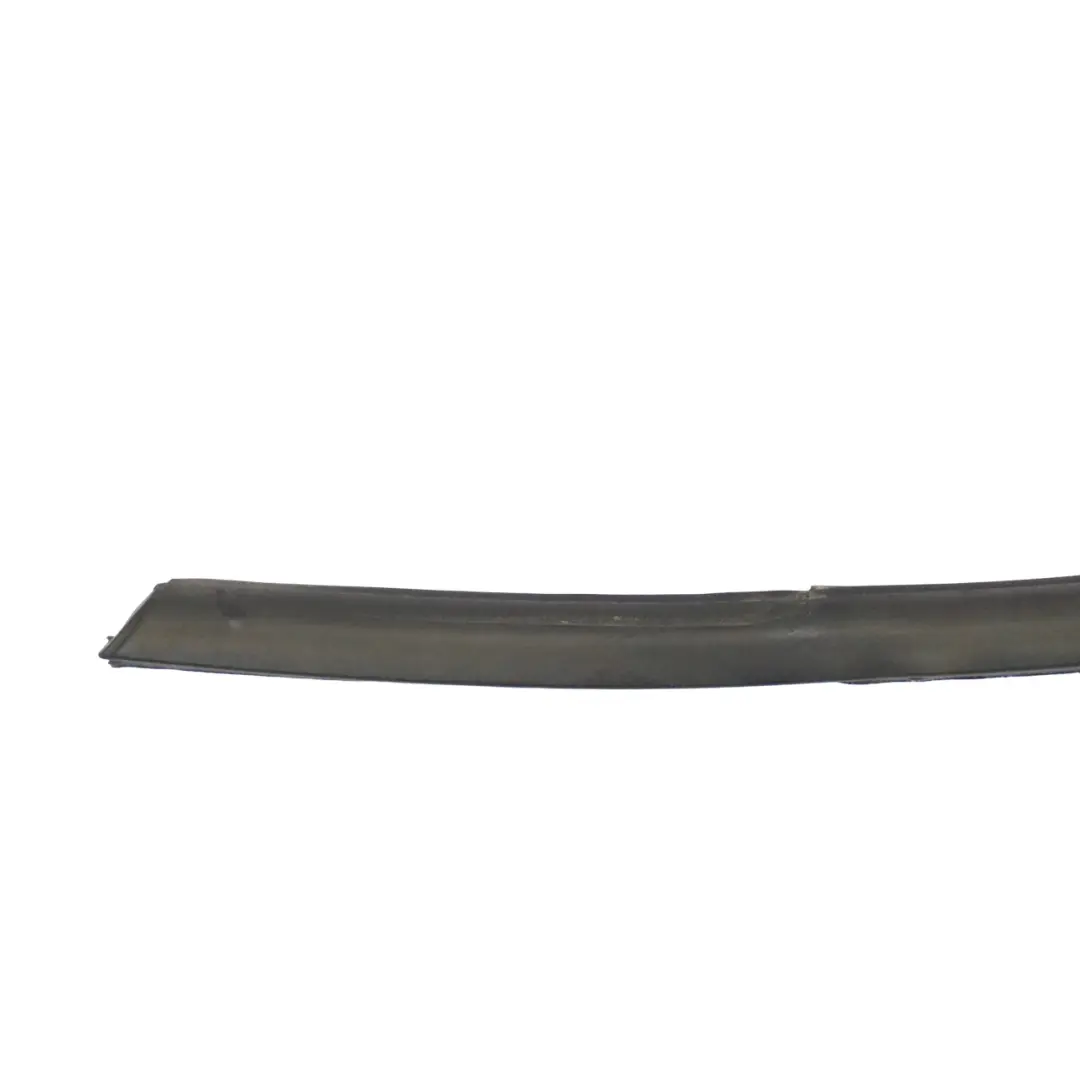  Fenster Dichtung BMW X3 F25 Äußere Kanalabdeckung Tür Vorne Links - SKU 7317905 - Teilenummer 7317905