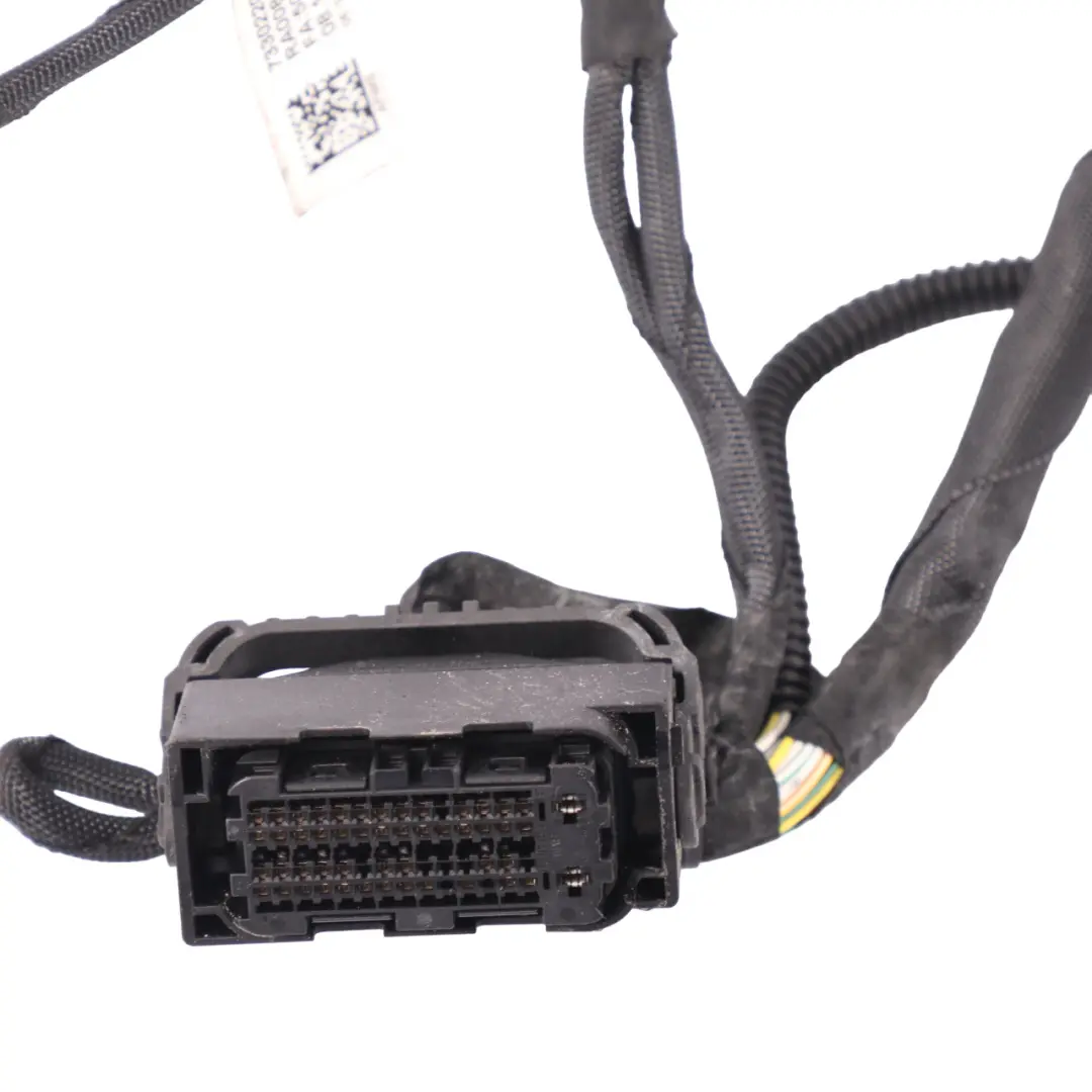 Engine Wiring BMW F87 M2 F82 F83 M4 S55 Loom Module Harness Cable - SKU 8092797 - Part number 8092797