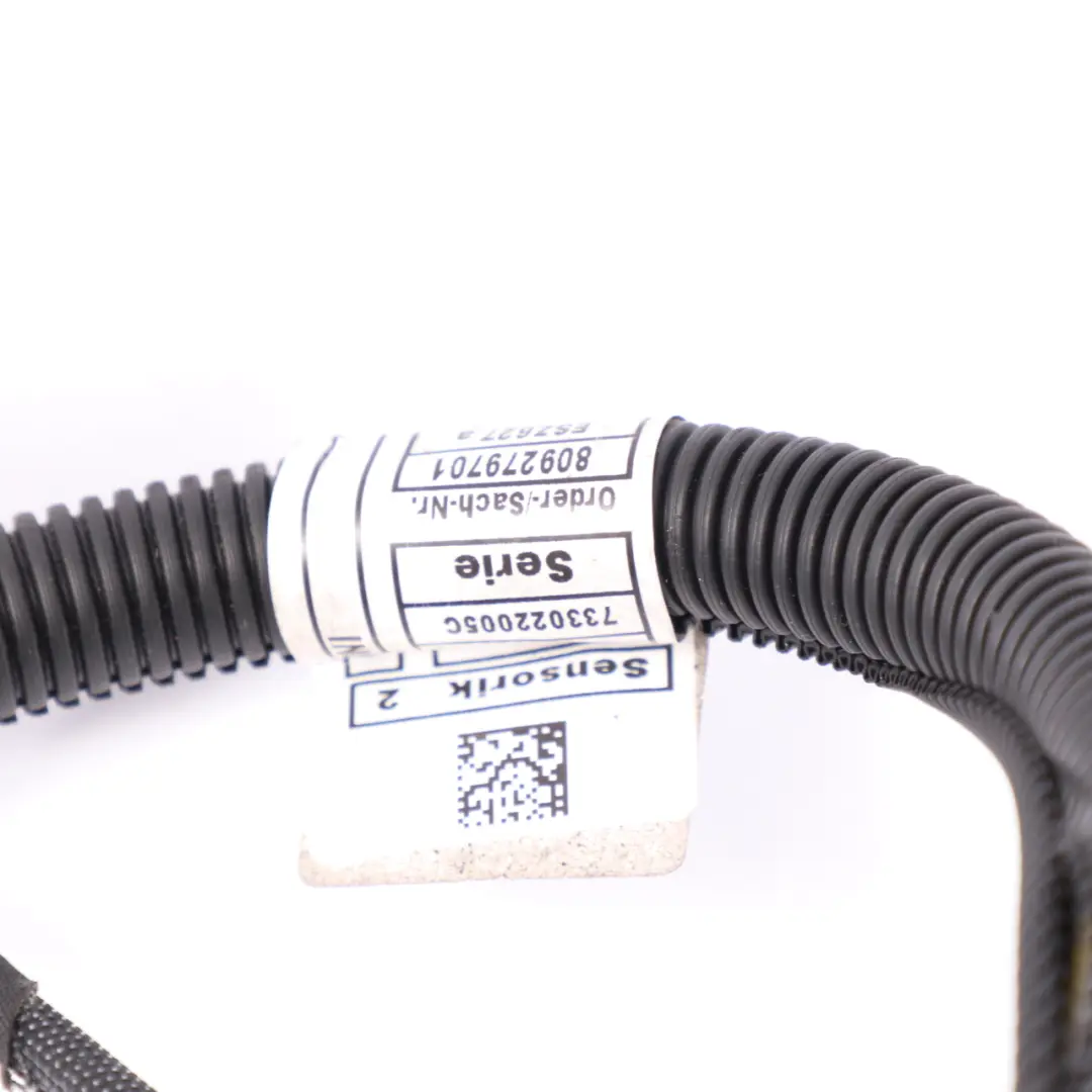 Wiring BMW F87 M2 F82 F83 M4 S55 Loom Module Harness Cable to Engine with Part number 8092797 Engine Wiring BMW F87 M2 F82 F83 M4 S55 Loom Module Harness Cable - SKU 8092797 - Part number 8092797