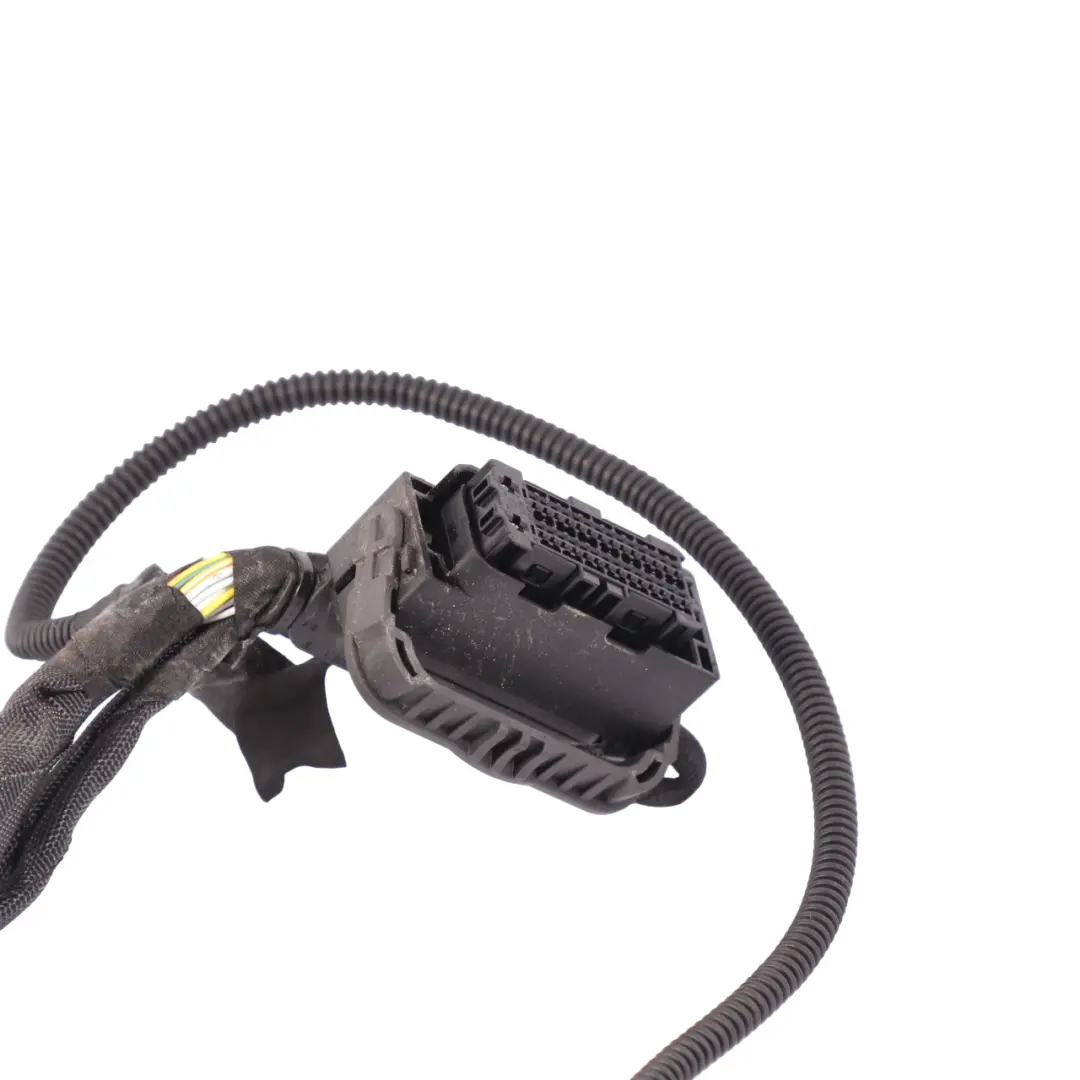 Wiring BMW F87 M2 F82 F83 M4 S55 Loom Module Harness Cable to Engine with Part number 8092797 Engine Wiring BMW F87 M2 F82 F83 M4 S55 Loom Module Harness Cable - SKU 8092797 - Part number 8092797