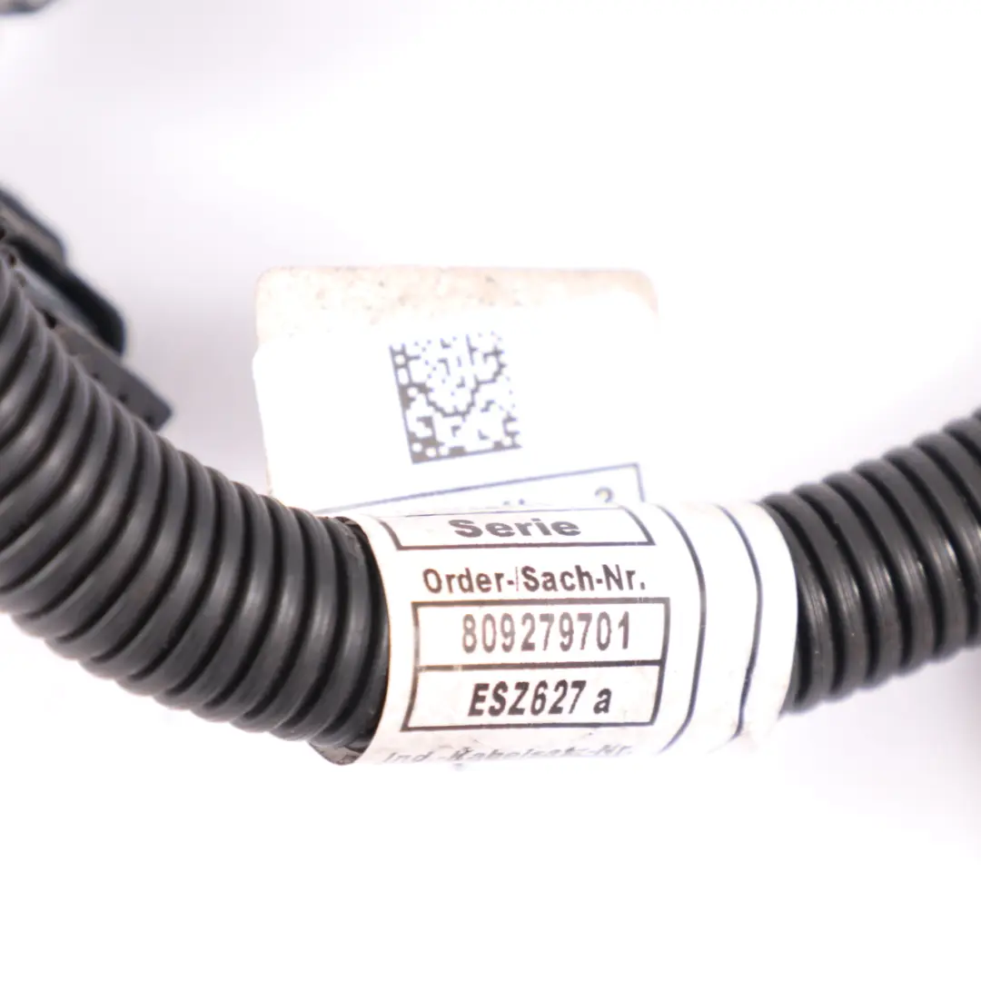 Câblage Moteur BMW F87 M2 F82 F83 M4 S55 Module Harnais Câble pour à propos du numéro de pièce 8092797 Câblage Moteur BMW F87 M2 F82 F83 M4 S55 Module Harnais Câble - SKU 8092797 - Numéro de pièce 8092797