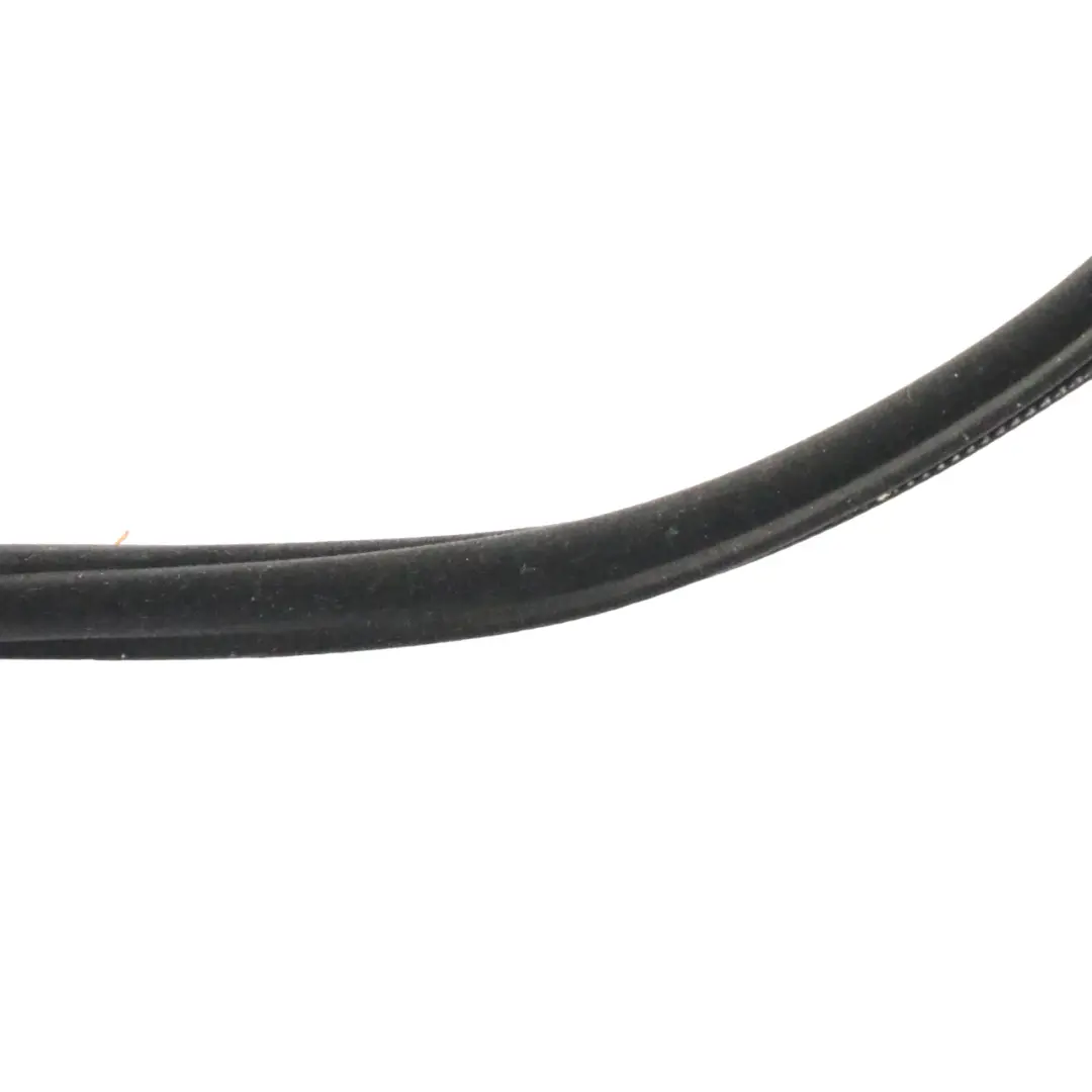 BMW E38 Rear Door Seal Weatherstrip Rubber Edge Protection Left N/S - SKU 8175084 - Part number 8175084