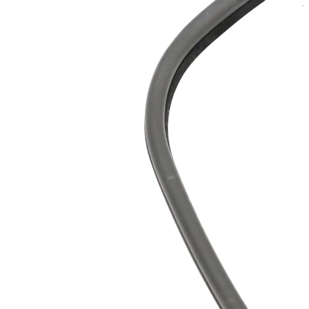 BMW E46 Tür Führungs Dichtung Vorne Links Gummi Dichtungs Streifen - SKU 8194695 - Teilenummer 8194695