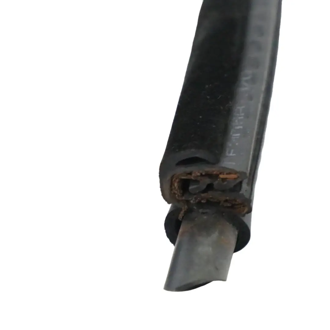 BMW E46 Guarnizione Guida Porta Anteriore Sinistra Guarnizione Paraurti - SKU 8194695 - Numero di parte 8194695
