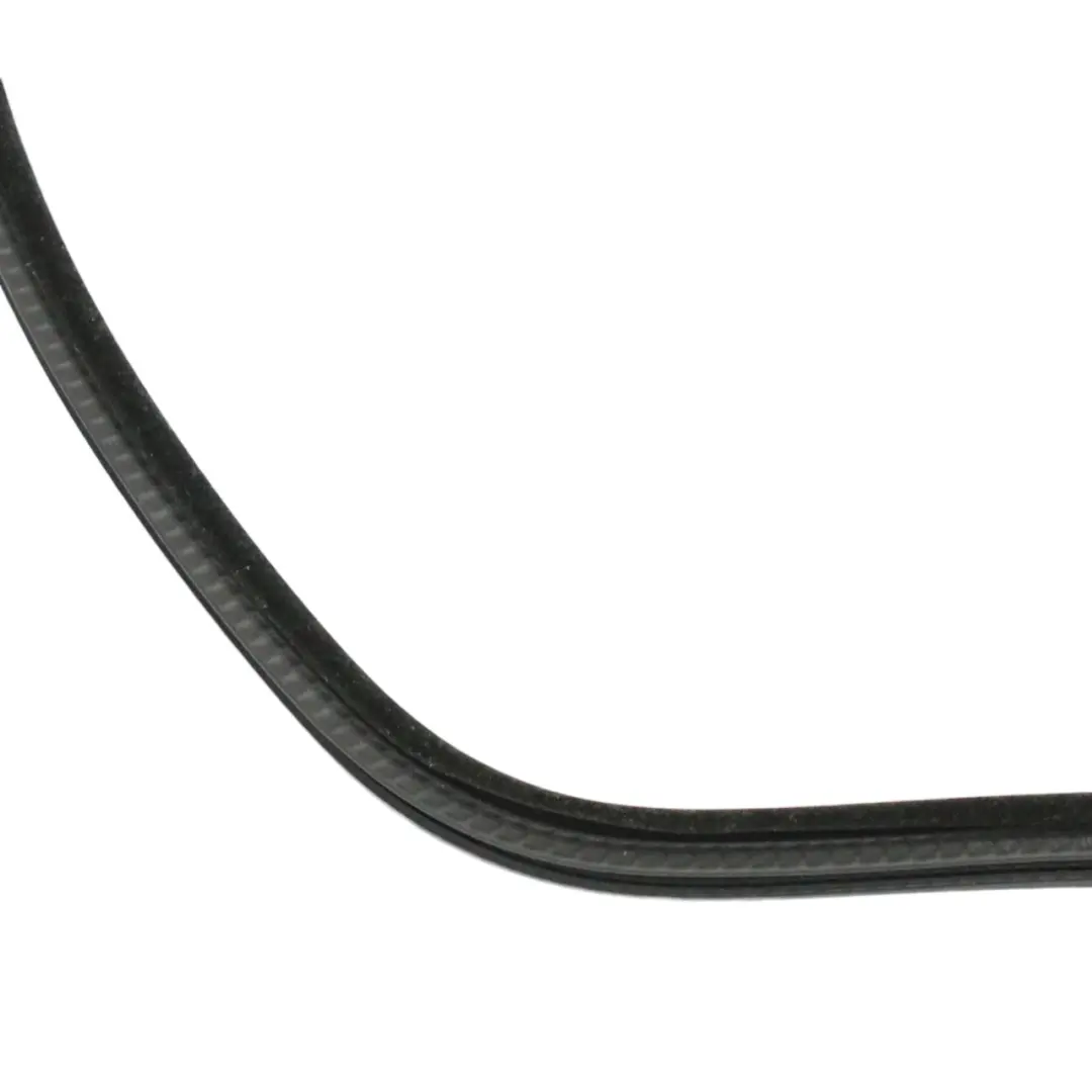 BMW E46 Guarnizione Guida Porta Anteriore Sinistra Guarnizione Paraurti - SKU 8194695 - Numero di parte 8194695