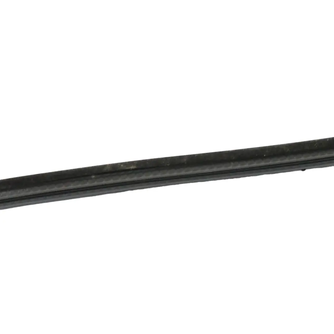 BMW E46 Tür Führungs Dichtung Vorne Links Gummi Dichtungs Streifen - SKU 8194695 - Teilenummer 8194695